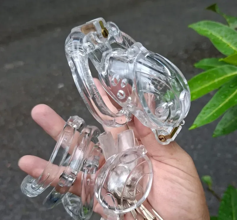 투명 2중 구조 정조대 케이지