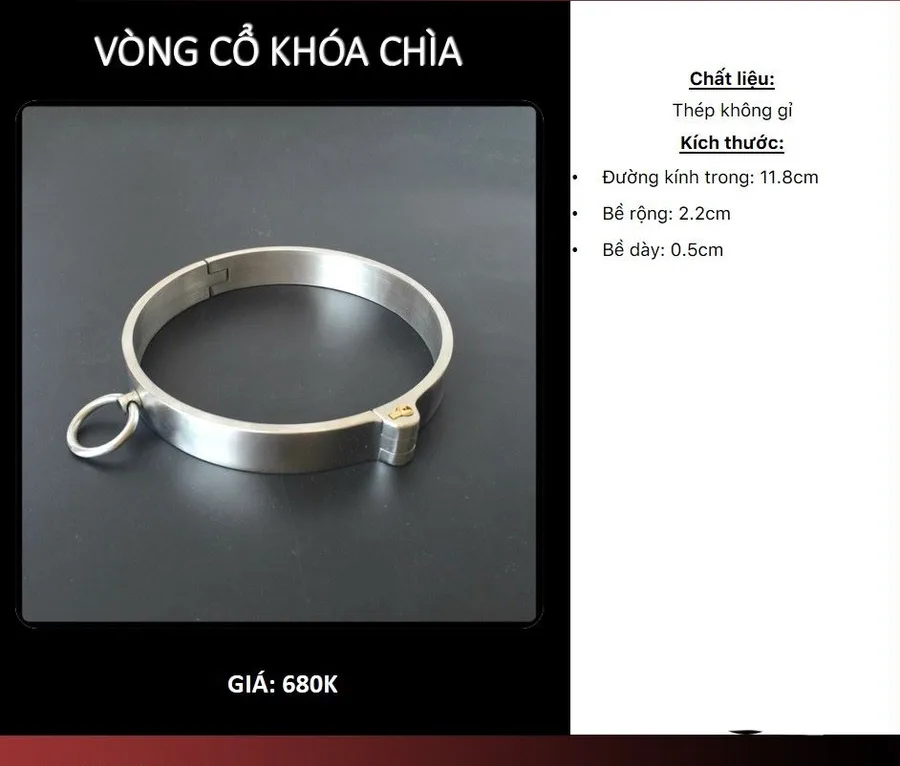 스테인리스 목줄 (열쇠 잠금·O링·안지름 11.8cm)
